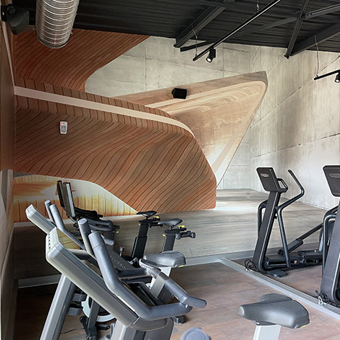 portfolio local_professionnel